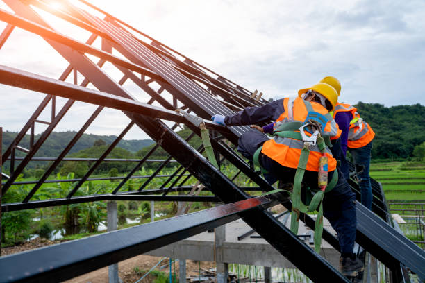 Best Metal Roofing Contractor  in Redwood Falls, MN